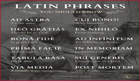 A Profile Of A Latin Beauty